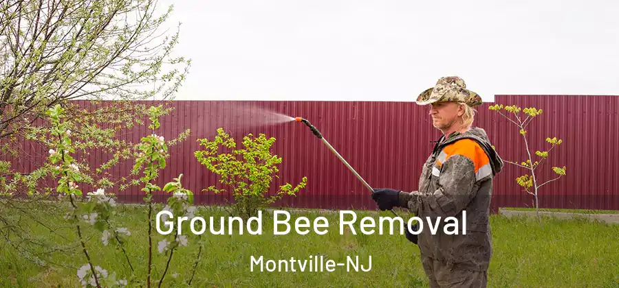  Ground Bee Removal Montville-NJ