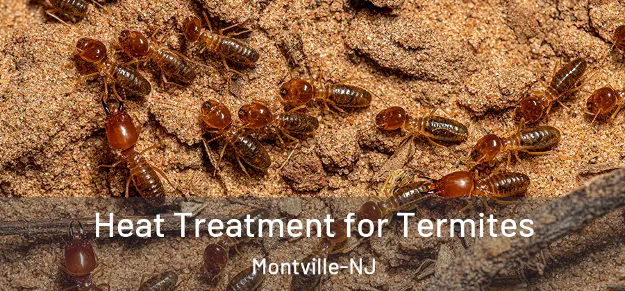 Heat Treatment for Termites Montville-NJ