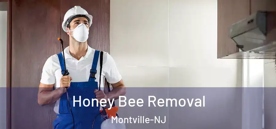 Honey Bee Removal Montville-NJ