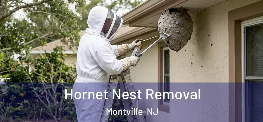 Hornet Nest Removal Montville-NJ