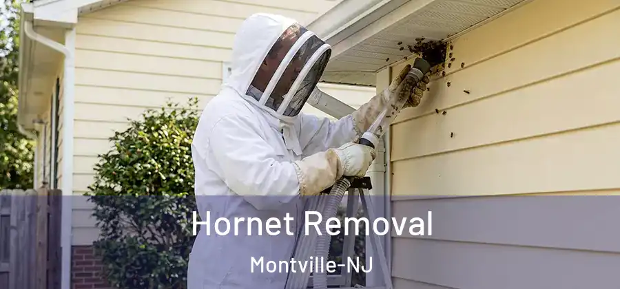  Hornet Removal Montville-NJ