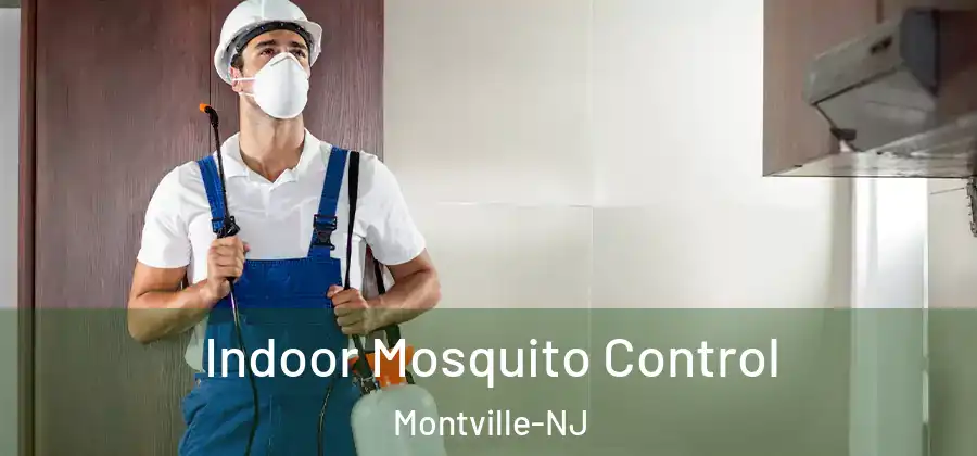 Indoor Mosquito Control Montville-NJ