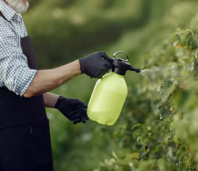 Your Proven Mosquito Treatment Company in Montville, NJ
