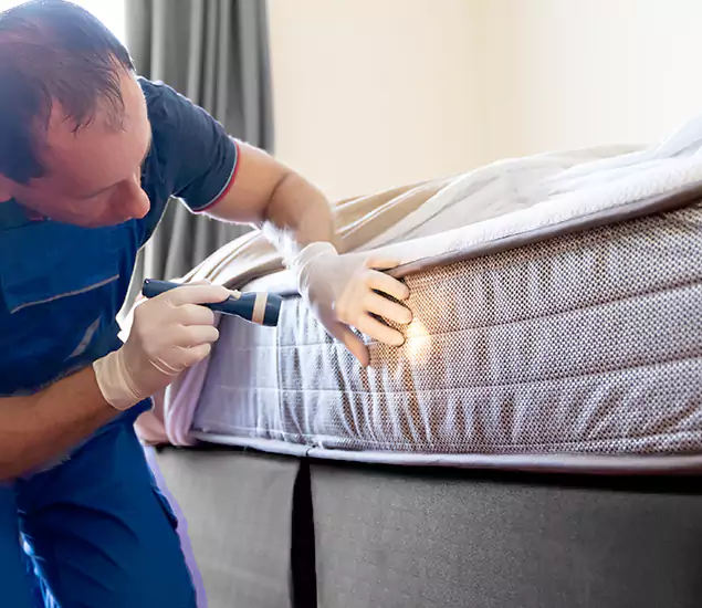 Trusted Bed Bug Cost Experts in Montville, NJ