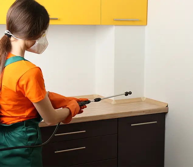Trusted Bed Bug Pest Control Specialist in Montville, NJ
