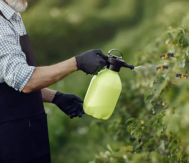 Your Carpenter Bee Service in Montville, NJ