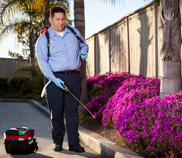 About Our Eco Safe Pest Control Experts in Montville, NJ