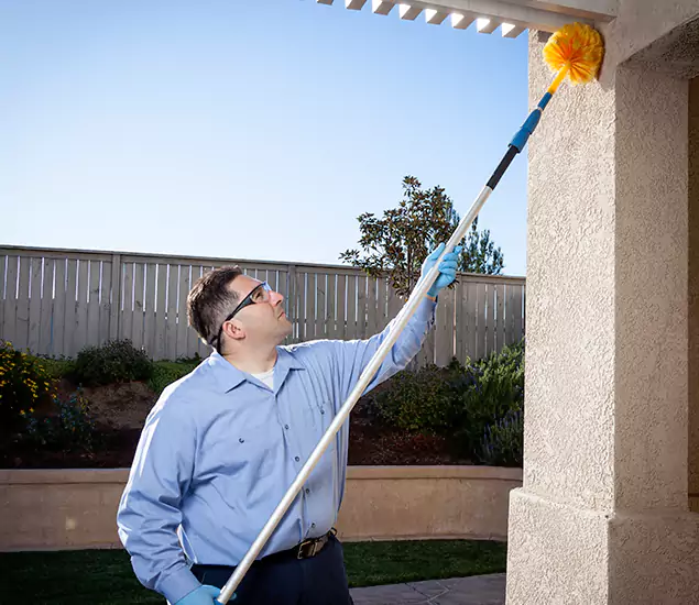 Trusted Experts in Montville NJ for Formosan Termite Treatment and Black Termite Control