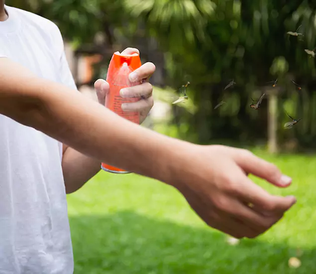 Your Best Indoor Bug Killer Team in Montville, NJ