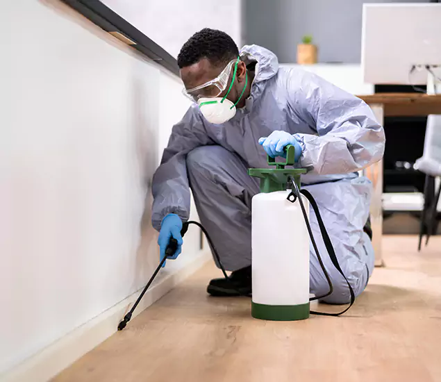 Leading Industrial Pest Control Experts Serving Montville, NJ