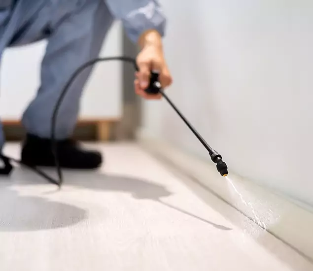 About Our Liquid Termite Treatment Experts in Montville, NJ