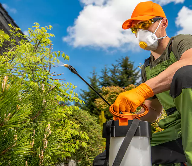 Your Mosquito Repellent Barrier Service in Montville, NJ