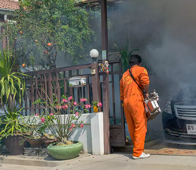Your Proven Mosquito Fogging Company in Montville, NJ