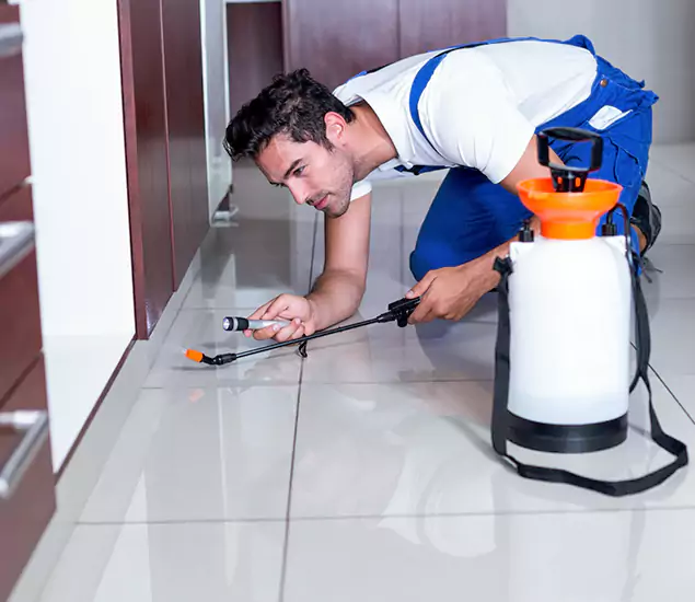 Reliable Professional Mouse Removal: Your Best Mouse Control Company in Montville, NJ