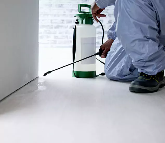 Affordable Pest Control Experts in Montville, NJ