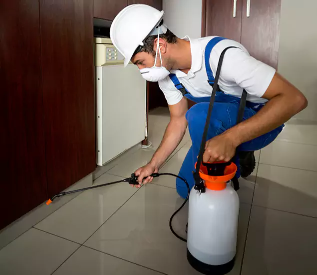 Advanced Termite Pre Treatment Experts in Montville, NJ