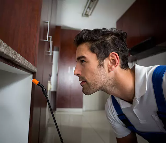 Expert Rodent in Attic Removal: Your Proven Pest Specialists in Montville, NJ