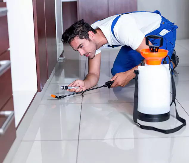 Advanced Slab Termite Treatment Experts You Can Trust&nbsp;in Montville, NJ
