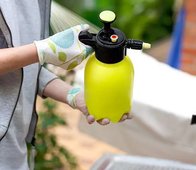 Skilled Residential Small Black Ant Service in Montville, NJ