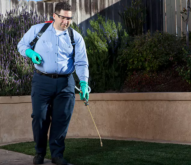 Reliable Termite Barrier Treatment Experts in Montville, NJ