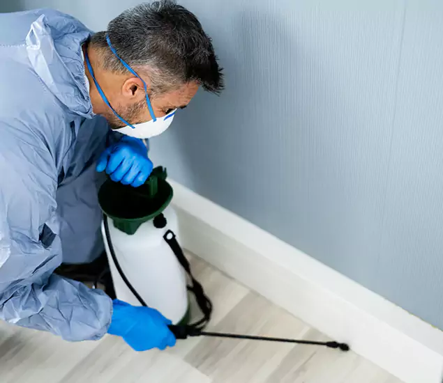 Reliable Termite Cost Experts in Montville, NJ