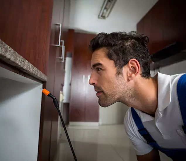 Termite Inspection Cost Experts You Can Trust in Montville, NJ