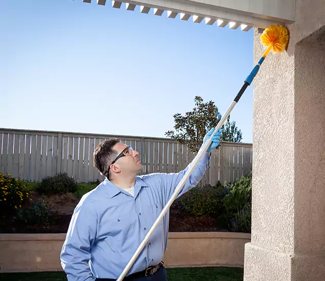 Your Trusted Wasp Removal Company in Montville, NJ