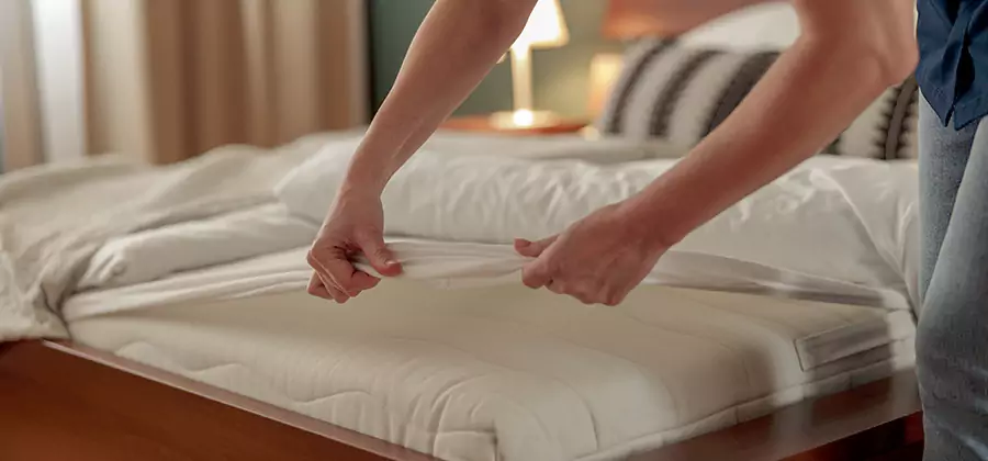 Bed Bug Extermination Services in Montville