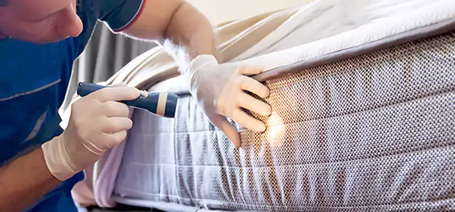 Residential Bed Bug Treatment Cost in Montville