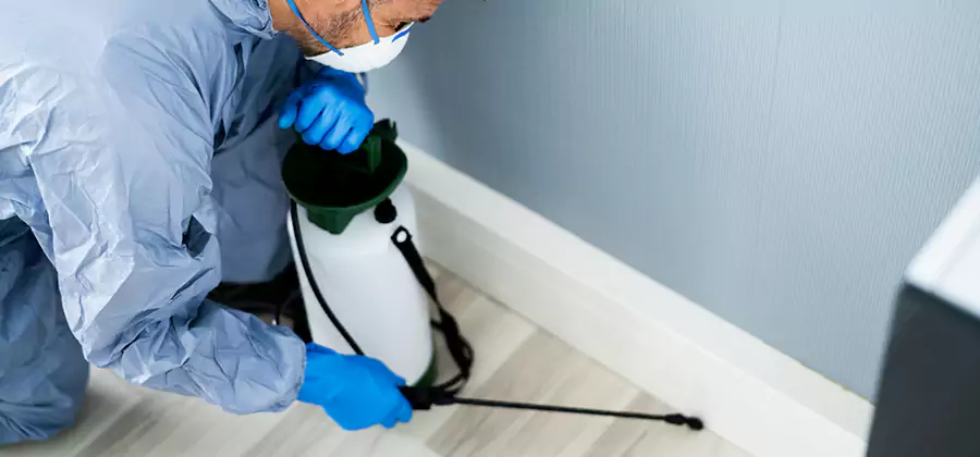 Fumigate Apartment Roaches in Montville