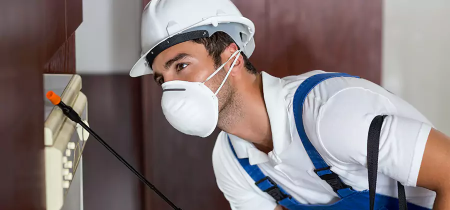 Injection Foam Treatment for Drywood Termites in Montville