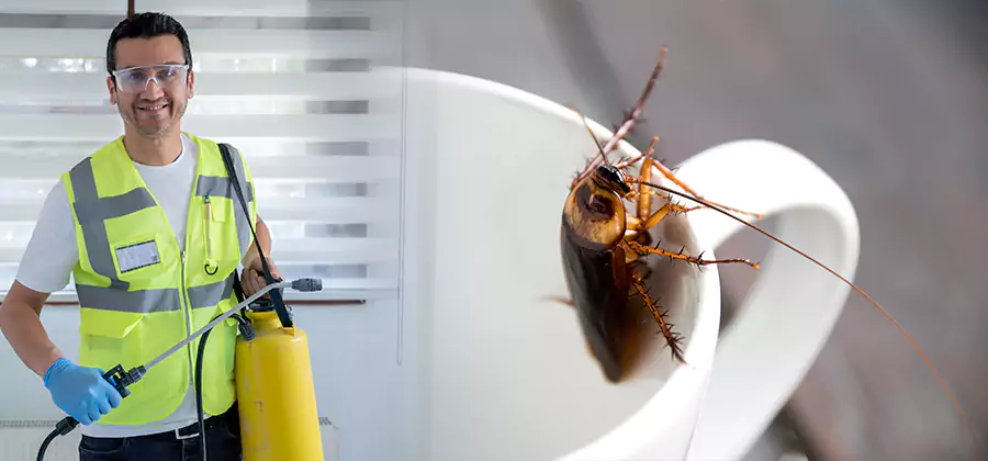 German Roach Infestation Treatment Montville