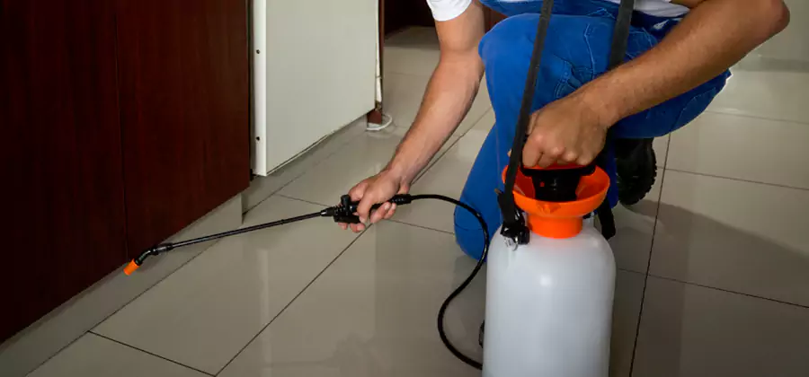 Indoor Mosquito Treatment in Montville