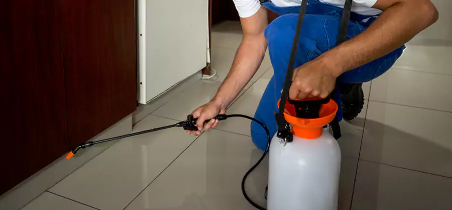 Indoor Insect Killer Solutions in Montville
