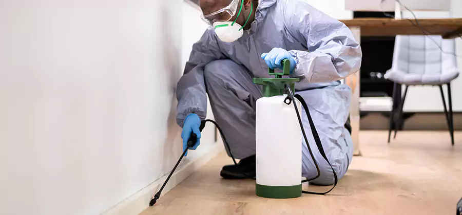 Long Lasting Mosquito Treatment in Montville