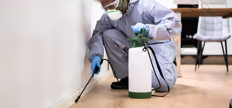 No Tent Termite Extermination With Electric Tool in Montville