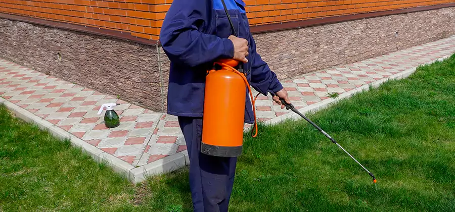 Non Toxic Termite Treatment in Montville