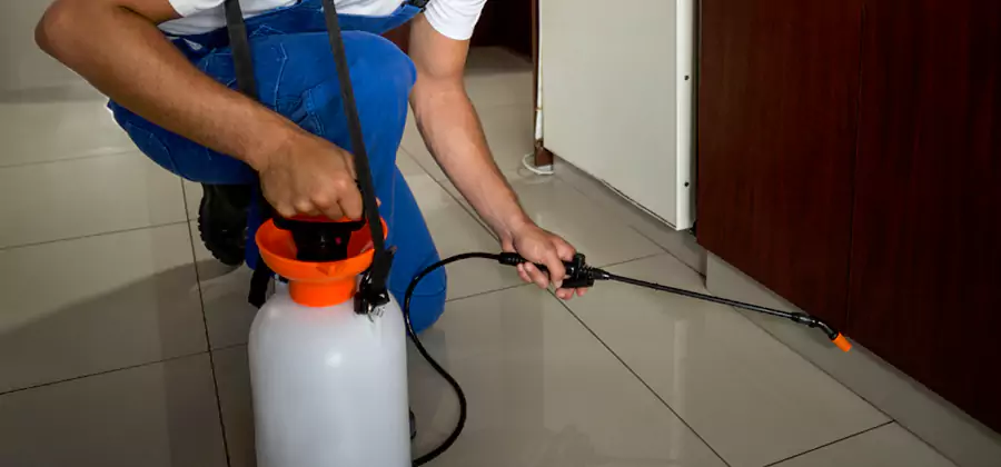 One Time Termite Control in Montville