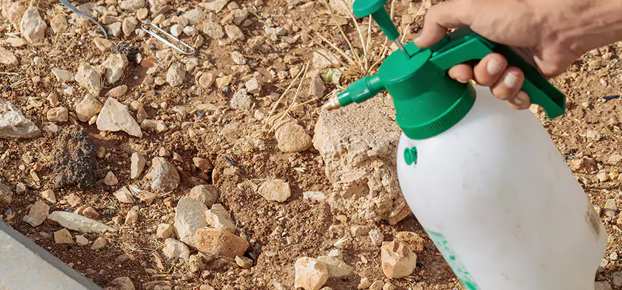 Heat Treatment Termite Cost in Montville