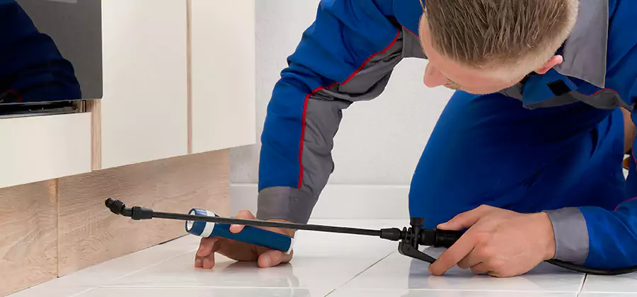 Moisture Treatment For Termite Control Service in Montville