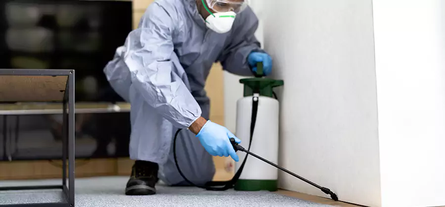 Wood Protection Termite Treatment in Montville