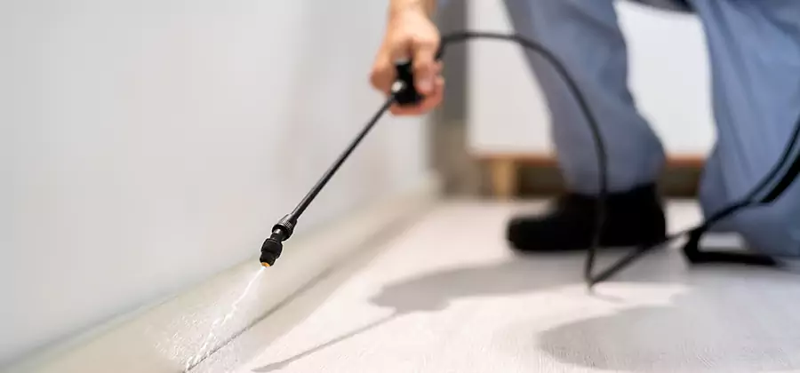 Direct Termite Injection Treatment in Montville