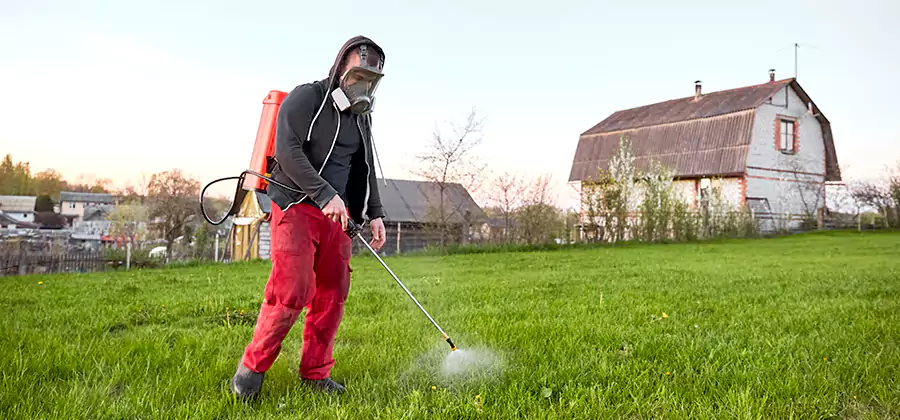 Flea and Tick Pest Control in Montville