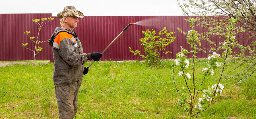 Flea and Tick Spray for Yard in Montville