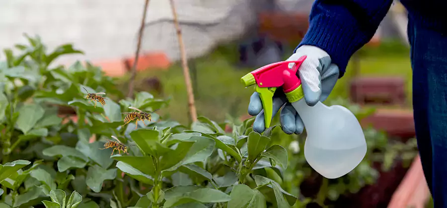 Yellow Jacket Pest Removal for Commercial Properties in Montville