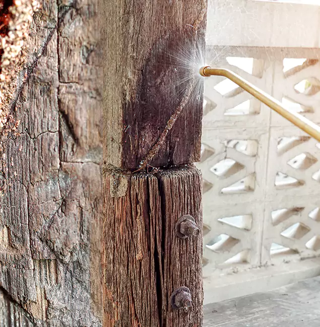 Why Choose Montville Pest Control Pro for Attic Termite Treatment in Montville, NJ?