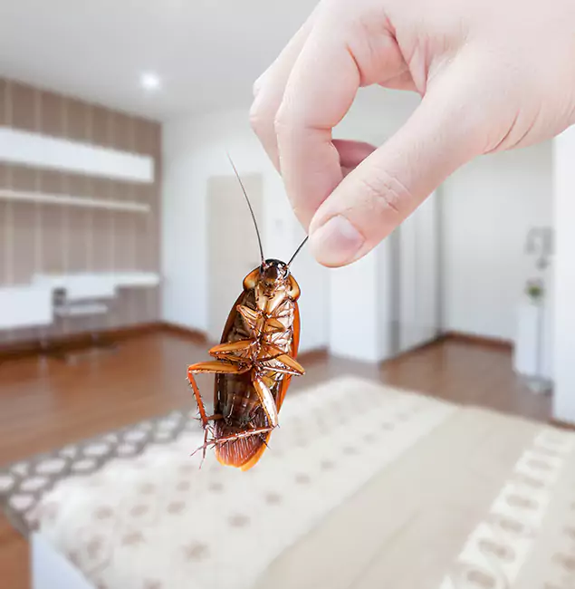 Why Montville Pest Control Pro Stand Out for Bed Bug Fumigation in Montville, NJ?