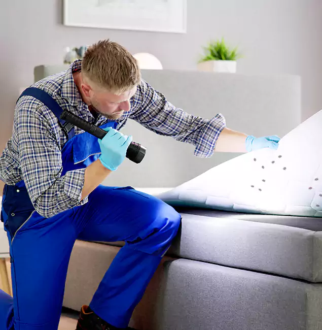 Why Choose Montville Pest Control Pro For Bed Bug Heat Treatment in Montville, NJ?
