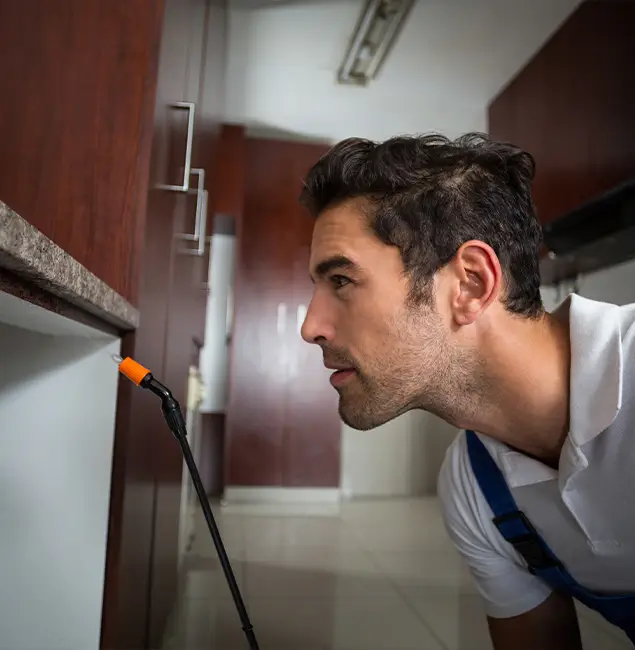 Why Choose Montville Pest Control Pro for Bed Bug Removal Cost in Montville, NJ?