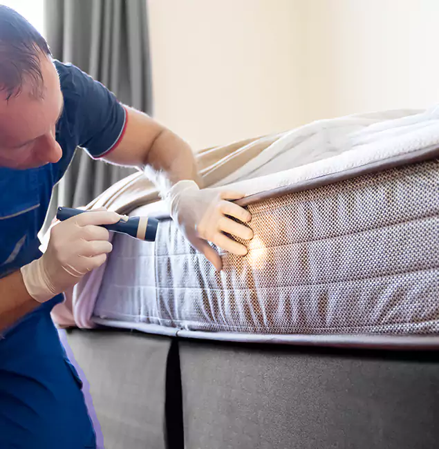 Why Choose Montville Pest Control Pro for Bed Bug Services in Montville, NJ?